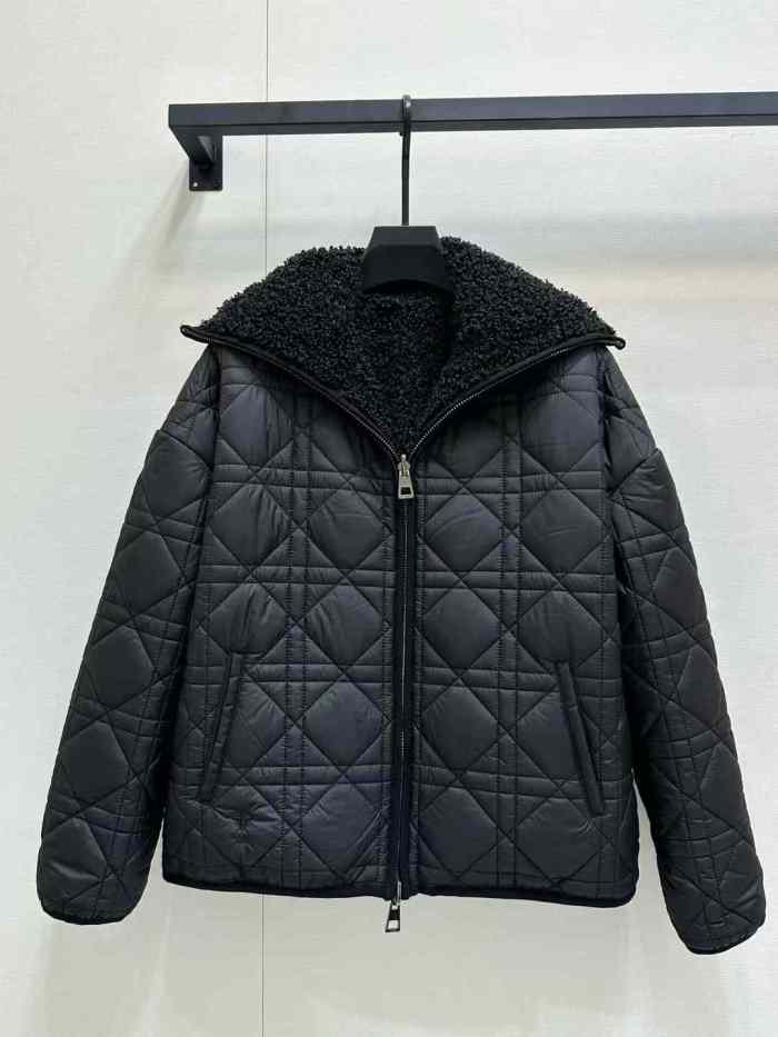 Dior Jacket High End Quality-202