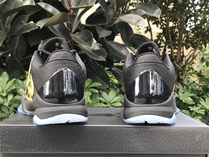 Authentic Nike Kobe 5 Protro “Year of the Mamba“ Purple