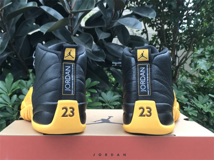 Authentic Air Jordan 12 “University Gold”