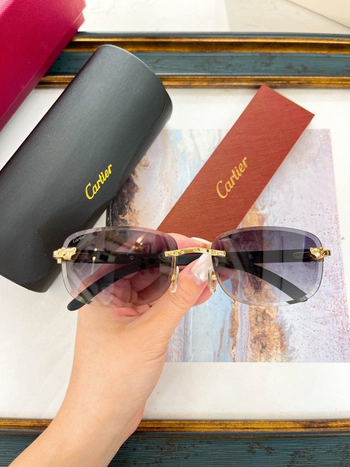 Cartier Sunglasses AAAA-7695