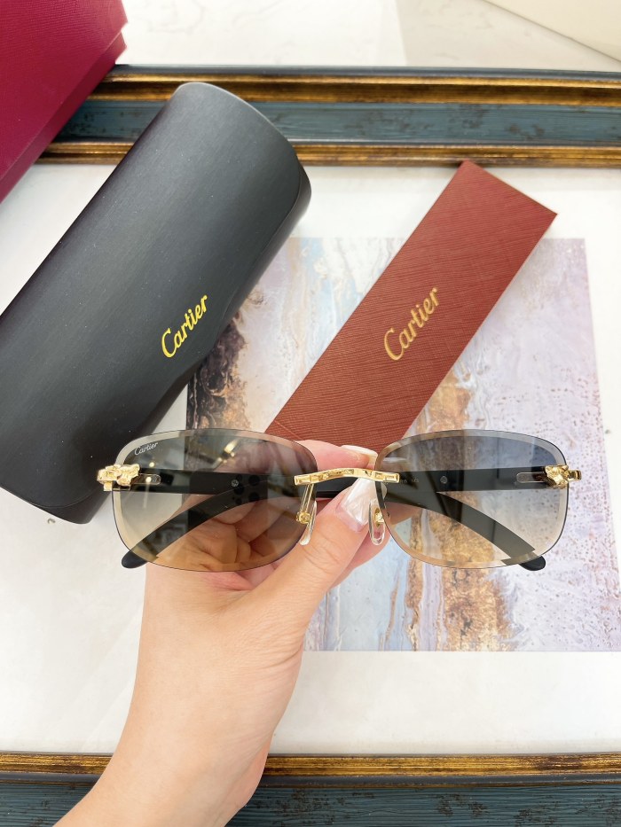 Cartier Sunglasses AAAA-7691