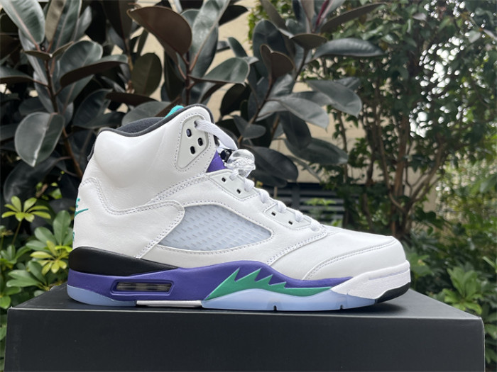 Authentic Air Jordan 5 Retro Grape 2025