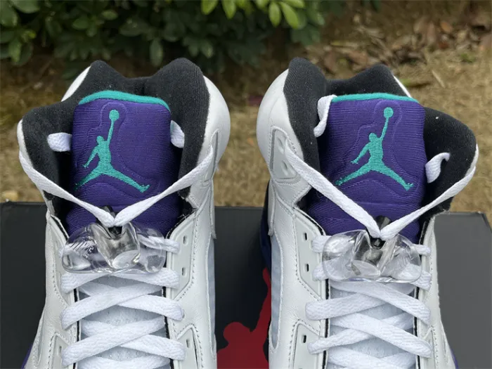 Authentic Air Jordan 5 Retro Grape 2025