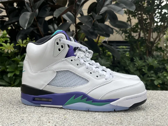 Authentic Air Jordan 5 Retro Grape 2025