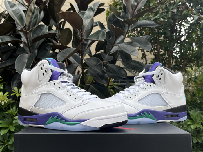 Authentic Air Jordan 5 Retro Grape 2025