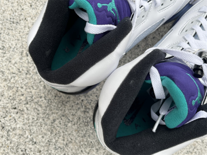 Authentic Air Jordan 5 Retro Grape 2025