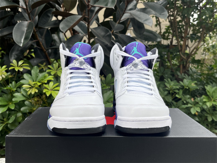 Authentic Air Jordan 5 Retro Grape 2025