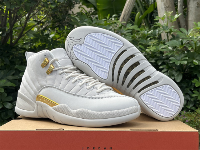 Authentic Air Jordan 12 “Phantom”