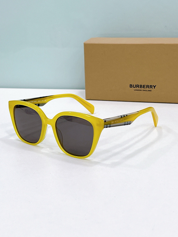 Burberry Sunglasses AAAA-3017