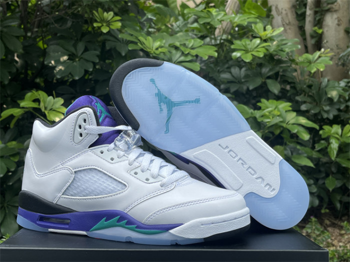Authentic  Air Jordan 5 Retro Grape  2025
