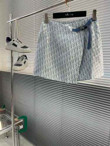 Dior Dress High End Quality-1001