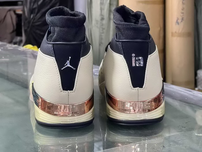 Authentic Infinite Archives Air Jordan 17 Low Beach