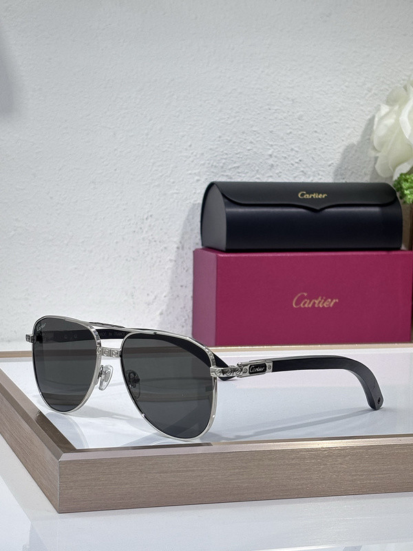 Cartier Sunglasses AAAA-9914