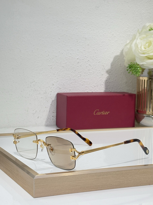 Cartier Sunglasses AAAA-9894