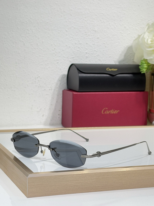 Cartier Sunglasses AAAA-9876