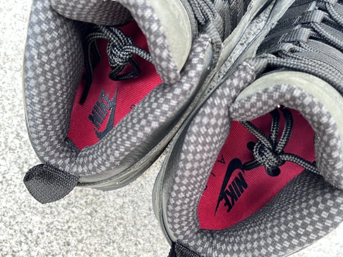 Authentic Air Jordan 10 “Shadow”