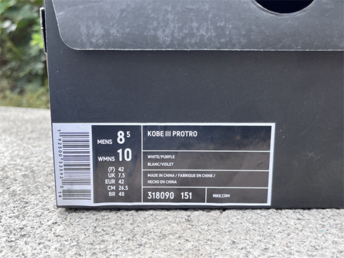 Nike Kobe 3 Protro-003