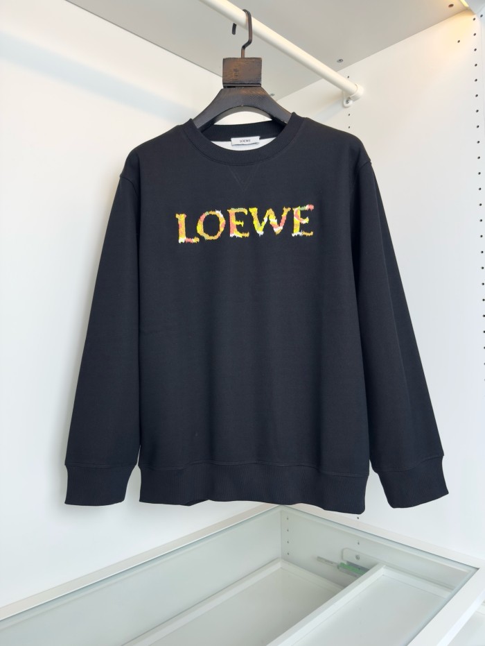 Loewe Hoodies High End Quality-007