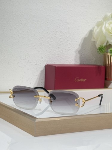 Cartier Sunglasses AAAA-10886