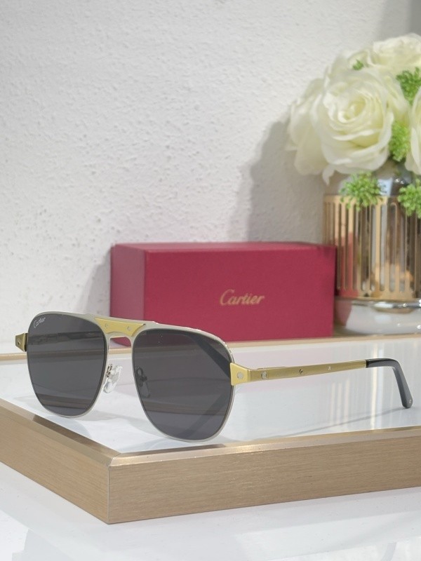 Cartier Sunglasses AAAA-10704