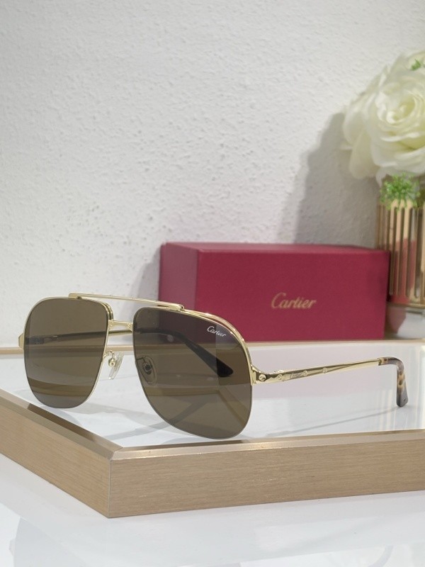 Cartier Sunglasses AAAA-10978