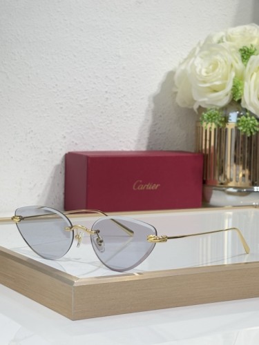 Cartier Sunglasses AAAA-10793