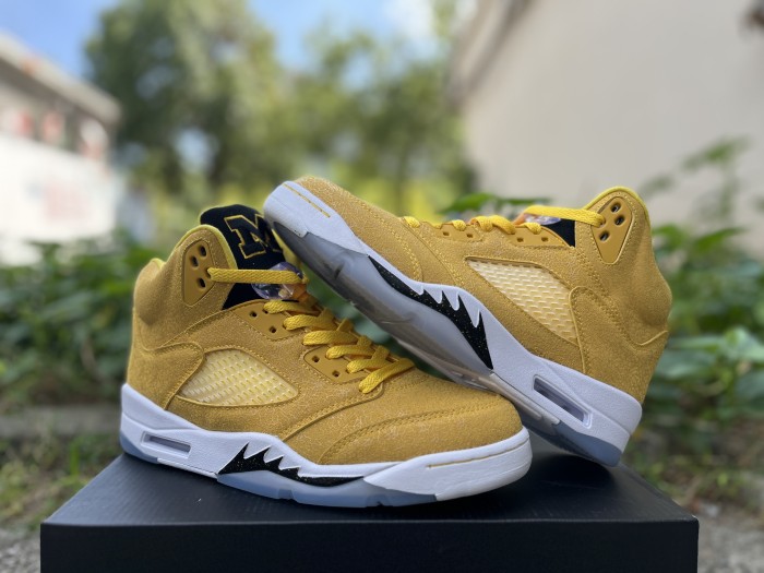 Authentic Air Jordan 5 “Michigan” PE