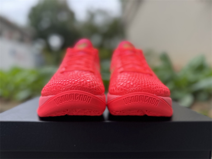 Authentic Nike Kobe 6 Protro  Reverse  All star