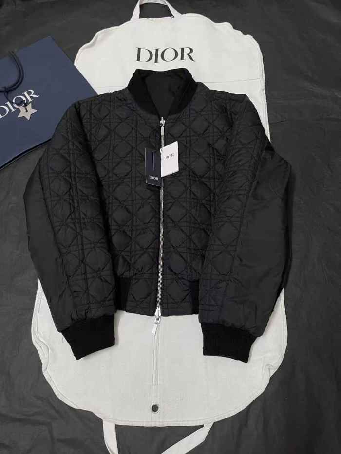 Dior Jacket High End Quality-237