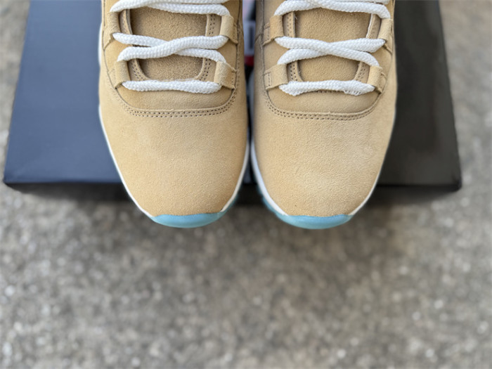 Authentic Air Jordan 11 H-Town GS