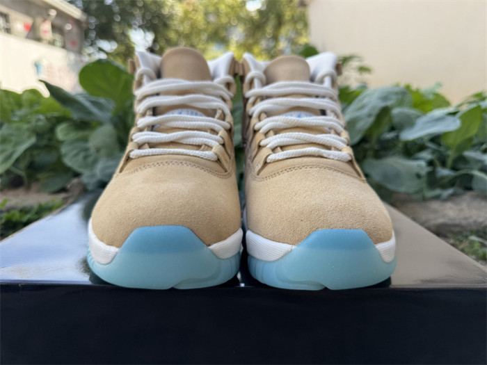 Authentic Air Jordan 11 H-Town GS