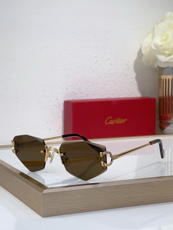 Cartier Sunglasses AAAA-10571