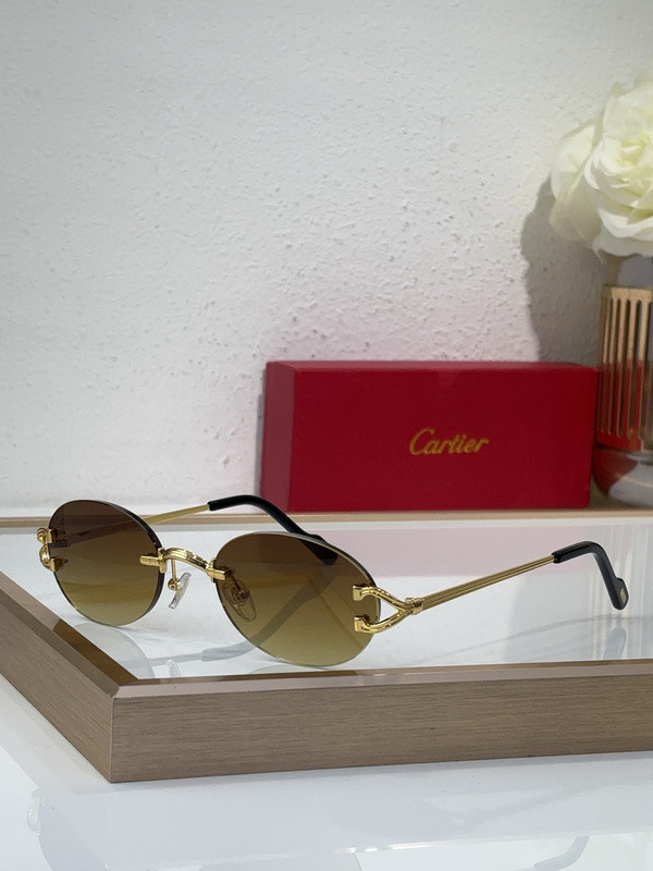 Cartier Sunglasses AAAA-10500