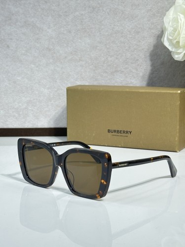 Burberry Sunglasses AAAA-3463