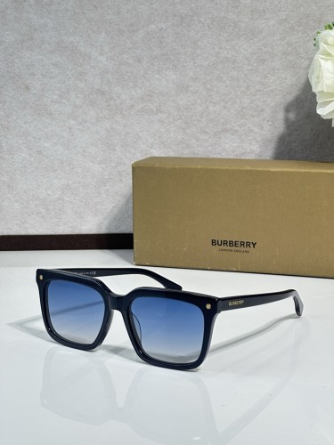 Burberry Sunglasses AAAA-3457