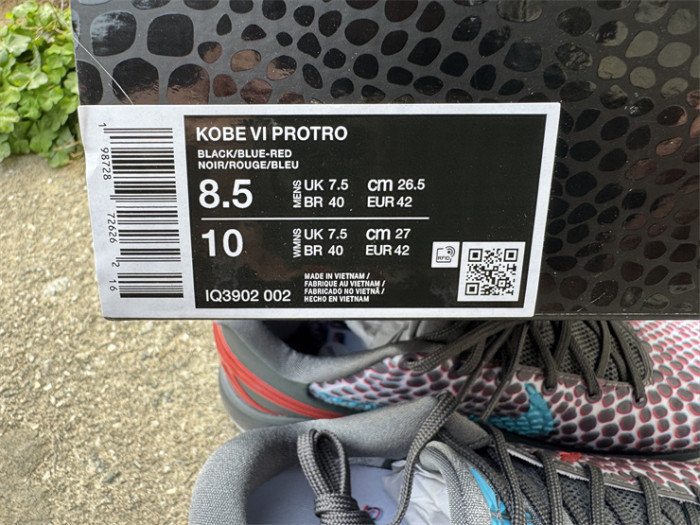 Authentic Nike Kobe 6 Protro All-Star 3D Hollywood