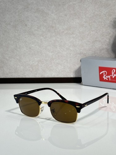 RB Sunglasses AAAA-329