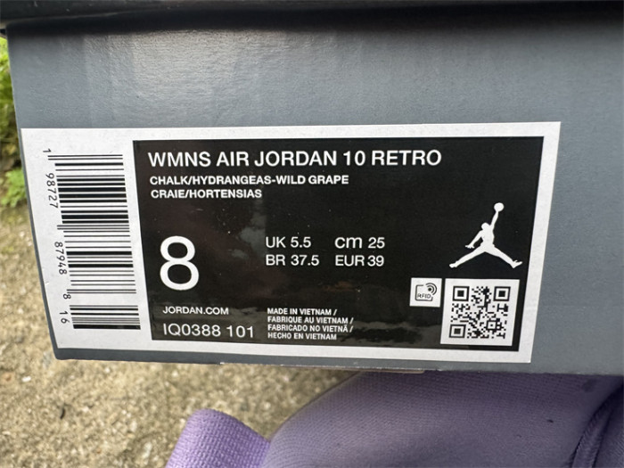 Authentic Air Jordan 10 Retro  Hydrangeas