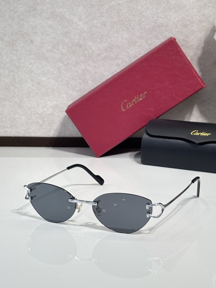 Cartier Sunglasses AAAA-12653