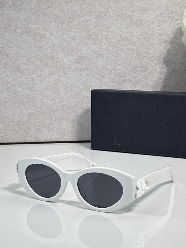 Dior Sunglasses AAAA-4954