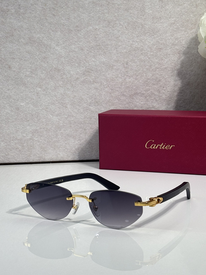Cartier Sunglasses AAAA-13925