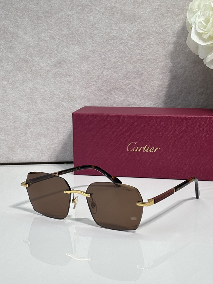 Cartier Sunglasses AAAA-13739
