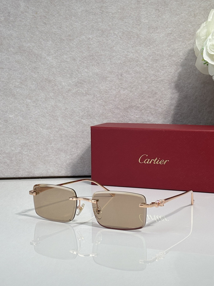 Cartier Sunglasses AAAA-14503