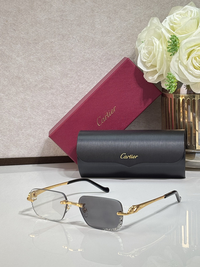 Cartier Sunglasses AAAA-14387