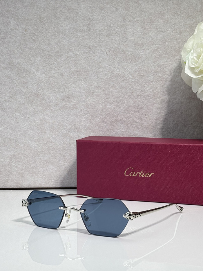 Cartier Sunglasses AAAA-13691