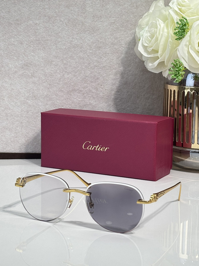 Cartier Sunglasses AAAA-14408