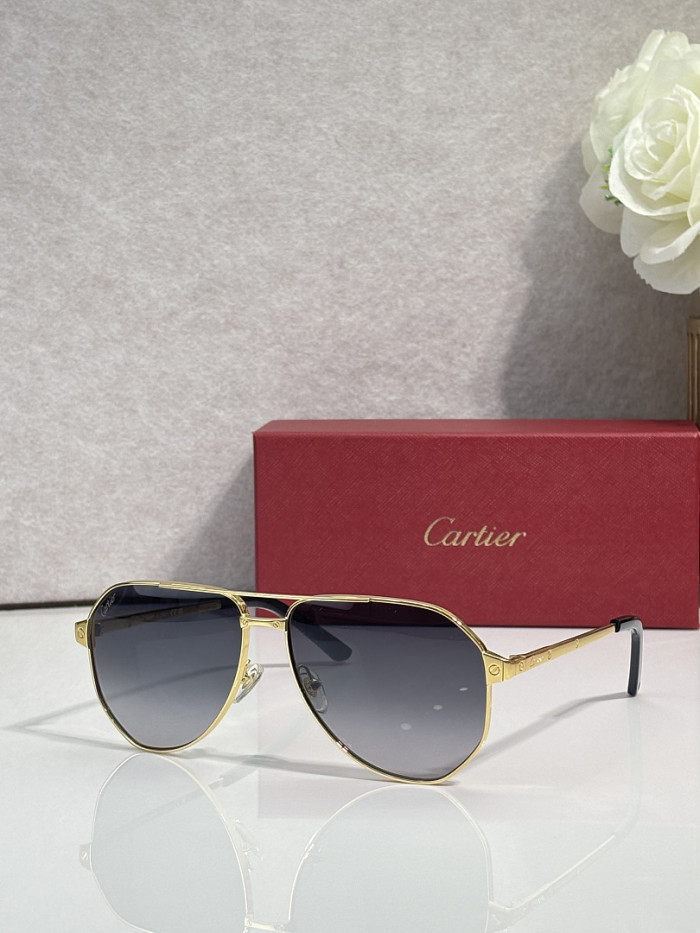 Cartier Sunglasses AAAA-14100