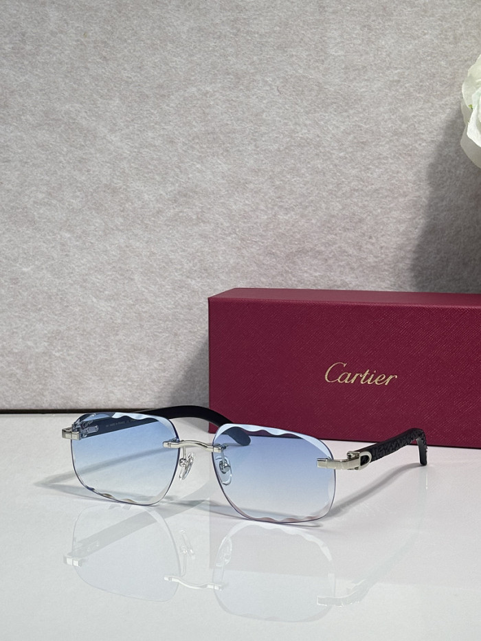 Cartier Sunglasses AAAA-13609