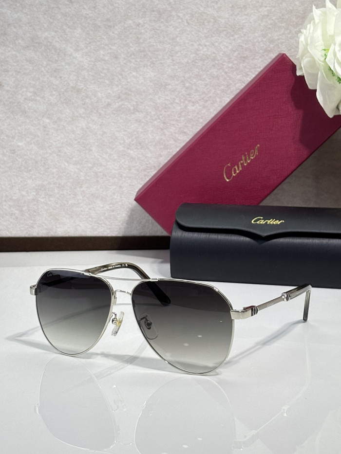Cartier Sunglasses AAAA-13353