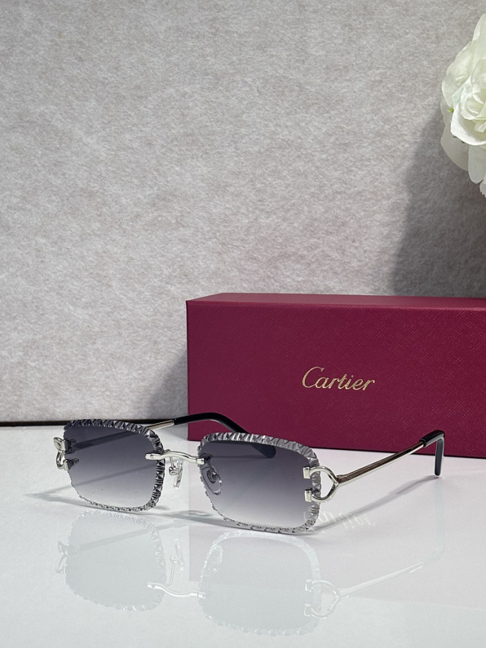 Cartier Sunglasses AAAA-14488